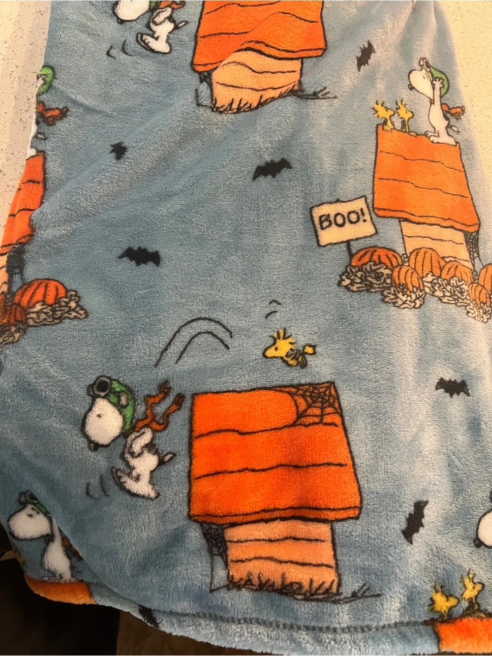 Peanuts velvetloft throw